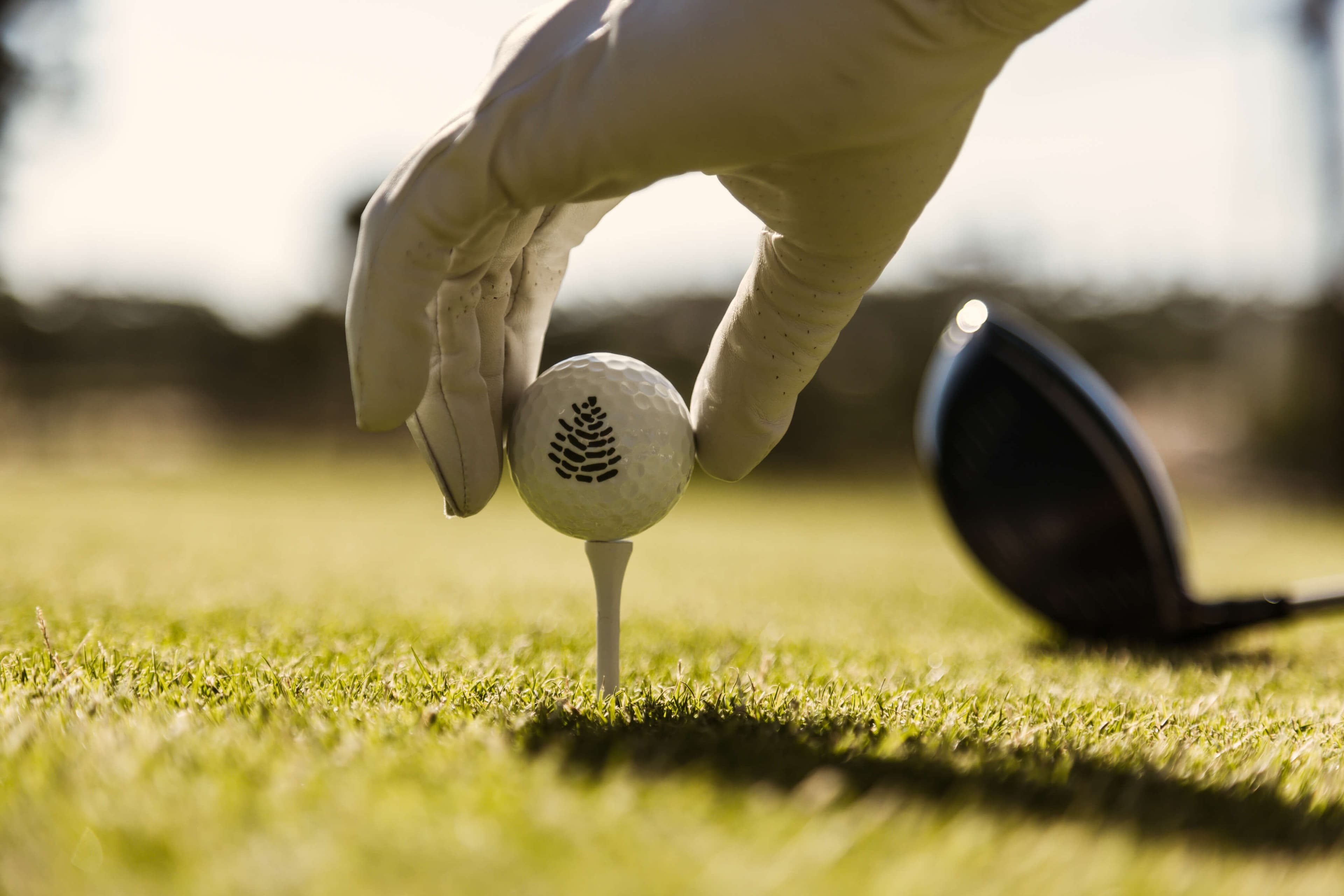 Play with the Legends in Portugal 